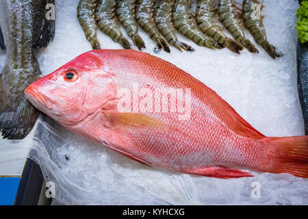 Il pescato di red snapper sul mercato mediterraneo Foto Stock