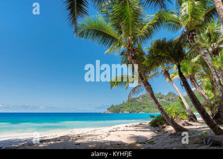 Vista della bella spiaggia tropicale con palme intorno a. Foto Stock