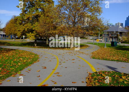 Colori autunnali nella città canadese di London, Ontario. Foto Stock