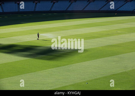 Irrigazione Groundskeeper il pitch in MCG Foto Stock