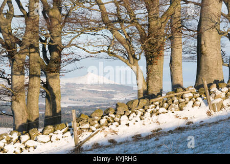 Una vista verso Bennachie su un nevoso inverno mattina Foto Stock