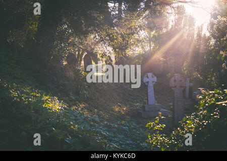 Illuminazione drammatica nella scena del cimitero. Sun luce splende attraverso i rami degli alberi per evidenziare scuro croce celtica lapidi di stile o di lapidi nel cimitero Foto Stock