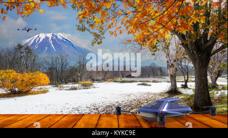 Le belle foglie di autunno e sfondo cielo nella stagione autunnale Foto Stock