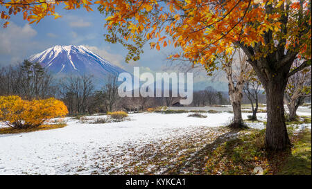 Le belle foglie di autunno e sfondo cielo nella stagione autunnale Foto Stock