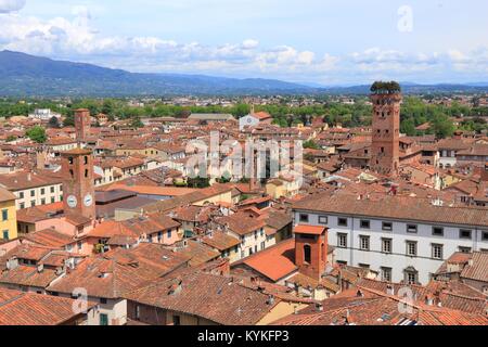 Lucca, Italia - Borgo medioevale della Toscana. Vista aerea con Torre Guinigi. Foto Stock
