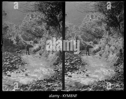Una vista dal 1900 circa che mostra i paesaggi di Rotorua, nuova Zelanda e Sydney, Australia, catturati in una fotografia d'epoca. Foto Stock