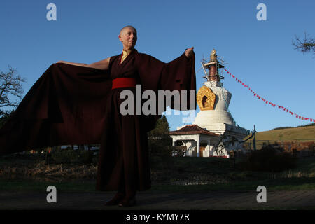 Rinchen Khandro, una monaca buddista che vive presso il Samye Ling monastero nel sud-ovest della Scozia, raffigurata sul suo ritorno al monastero dopo aver completato tre anni di ritiro sul buddista di proprietà di Isola Santa off la costa ovest della Scozia. Rinchen, originariamente da Manchester, è un ex sceneggiatore del film, designer di moda e ex-girlfriend di George Best. Essa è stata una monaca fin dai primi anni novanta e questo è stato il suo primo ritiro importante. Immagine mostra Rinchen sul suo arrivo torna a Samye Ling monastero. Foto Stock