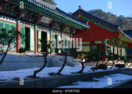 Il tempio di Woljeongsa sul monte Odaesan, Corea del Sud Foto Stock