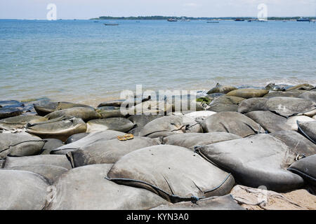 Fila di sacchi di sabbia sulla spiaggia per proteggere la costa danni dalle onde Foto Stock