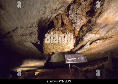 Ruby Falls si trova a Lookout Mountain vicino a Chattanooga, Tennessee e a 145 metri di altezza è il mondo del più alto e più profondo cascata sotterranea. Foto Stock