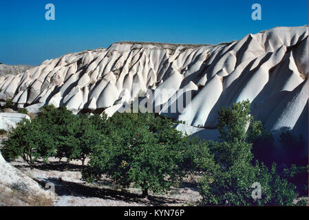 Erosi paesaggio vulcanico, o vista panoramica e frutteto, nei pressi di Uchisar Cappadocia, Turchia Foto Stock