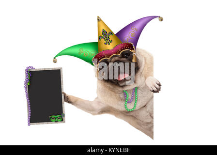 Mardi Gras carnival pug dog con la harlequin jester hat, maschera veneziana e decorate blackboard segno, isolati su sfondo bianco Foto Stock