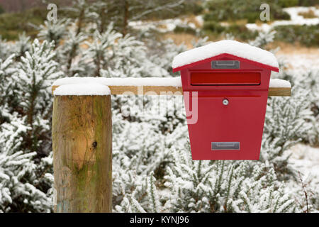Un metallo rosso letterbox, raffigurato nella neve, alla fine di una traccia da qualche parte in Scozia. Foto Stock