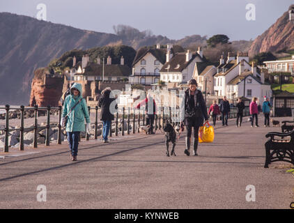 Sidmouth, xv Jan 18 venti forti ma il sole sul lungomare a Sidmouth, nel Devon. Foto centrali/Alamy Live News Foto Stock