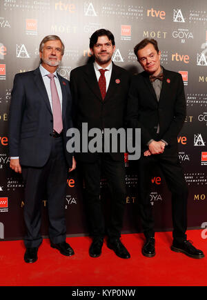 Durante il photocall candidature per la 32th annuo di premi Goya in Madrid, lunedì 15 Januaryr, 2018 Foto Stock