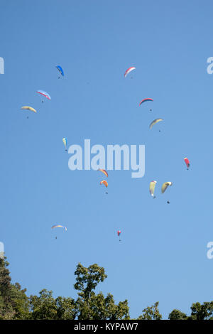 I parapendii cerchio nella calda aria termica a Sarankot. Parapendio al di sopra di Pokhara, Nepal Foto Stock