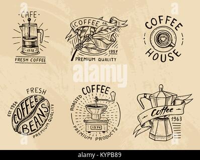 Set di loghi di caffè. moderni elementi d'annata per il negozio menu. Illustrazione Vettoriale. Decorazione design collection per badge di stile di calligrafia per telai, etichette. incisi disegnati a mano nel vecchio sketch. Illustrazione Vettoriale