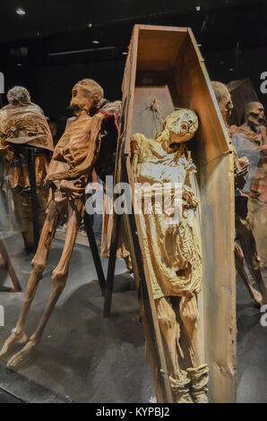 GUANAJUATO, Messico - 06 Maggio 2013: El Museo De Las Momias, mummie di Guanajuato, sepolto nel 1833 a causa di una epidemia di colera, una mummificazione naturale. Foto Stock