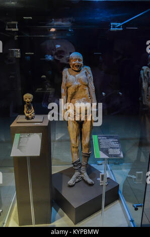 GUANAJUATO, Messico - 06 Maggio 2013: El Museo De Las Momias, mummie di Guanajuato, sepolto nel 1833 a causa di una epidemia di colera, una mummificazione naturale. Foto Stock