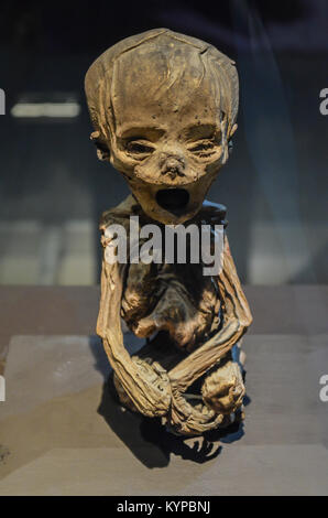 GUANAJUATO, Messico - 06 Maggio 2013: El Museo De Las Momias, mummie di Guanajuato, sepolto nel 1833 a causa di una epidemia di colera, una mummificazione naturale. Foto Stock