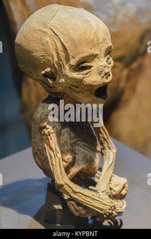 GUANAJUATO, Messico - 06 Maggio 2013: El Museo De Las Momias, mummie di Guanajuato, sepolto nel 1833 a causa di una epidemia di colera, una mummificazione naturale. Foto Stock