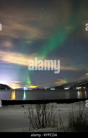 Luci del nord, nei pressi di Narvik, Norvegia. Foto Stock