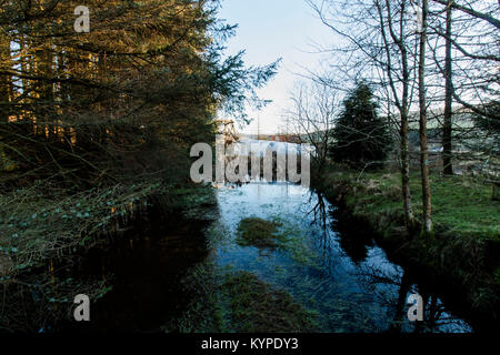 Llywernog, nr Aberystwyth, Ceredigion, Galles. 07/01/2018 Foto Stock