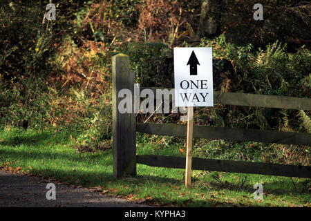 Cancello di legno su una strada attraverso la foresta o dei boschi, con un cartello che diceva "ONE WAY' Foto Stock