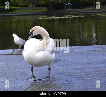 Giovani in Swan St Stephens Green, Dublino Foto Stock