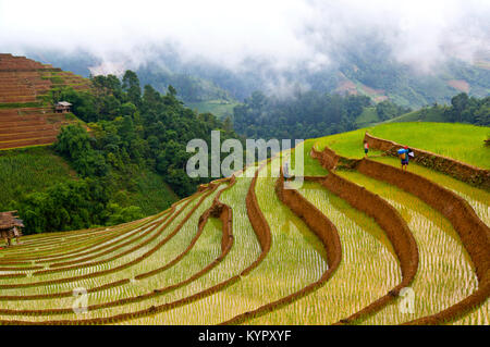 Nero donne Hmong e ragazza camminare in terrazze di riso in um Cang area Chai, Yen Bai provincia, nella parte nord-occidentale del Vietnam. Foto Stock