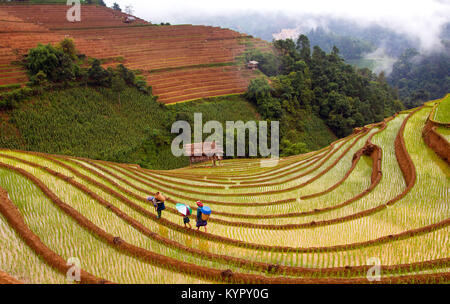 Nero donne Hmong e ragazza camminare in terrazze di riso in um Cang area Chai, Yen Bai provincia, nella parte nord-occidentale del Vietnam. Foto Stock