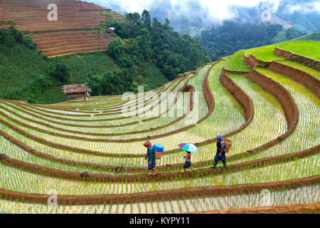 Nero donne Hmong e ragazza camminare in terrazze di riso in um Cang area Chai, Yen Bai provincia, nella parte nord-occidentale del Vietnam. Foto Stock