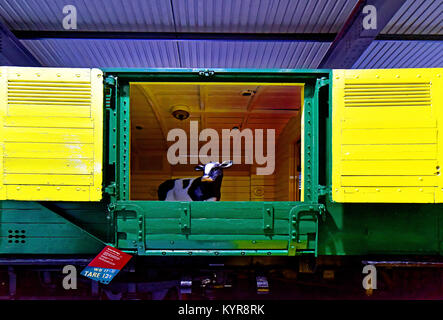 Shildon Museo Ferroviario speciale carro bestiame Foto Stock