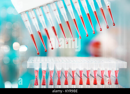 Pipetta multicanale e piastra multipozzetto per l'amplificazione del DNA, shallow DOF Foto Stock