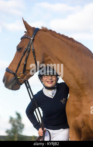 Il tedesco cavalcare pony. Giovane pilota in piedi accanto ai castagni castrazione. Gran Bretagna Foto Stock