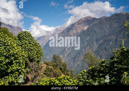 Vista monte Machhapuchchhre, coda di pesce, Nepal, Annapurna Himalaya, Foto Stock