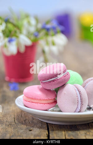 Variegato amaretti dolci e fiori di primavera in piccoli pot Foto Stock