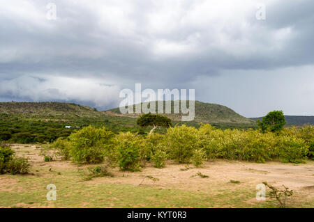 Tempesta sulla savana e colline del Masai Mara Park nel nord ovest del Kenya Foto Stock