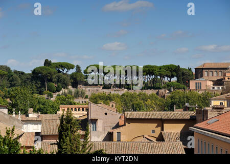 Italia, Roma, il colle Aventino e il Giardino degli Aranci visti da Trastevere Foto Stock