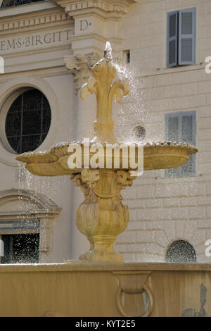 Fontana, Piazza Farnese, Roma, Italia Foto Stock