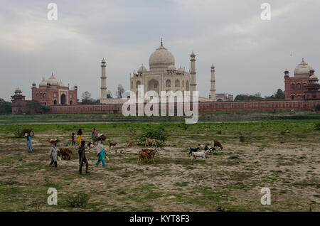 Il Taj Mahal, Agra, Uttar Pradesh, India Foto Stock