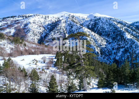 Paesaggio invernale dal Pindus mountain range, Grecia Foto Stock
