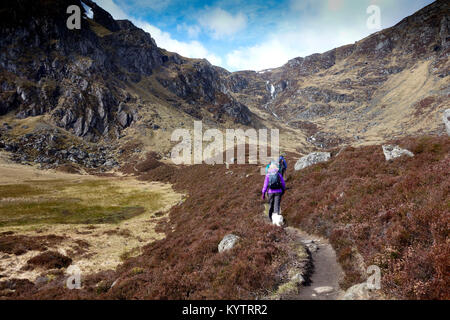 Corrie Fee, Glen Clova, Angus, Scozia Foto Stock