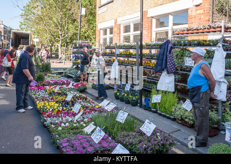 Columbia Road Flower Market Stall con commercianti di mercato, Columbia Rd, Londra, Inghilterra, GB, Regno Unito Foto Stock