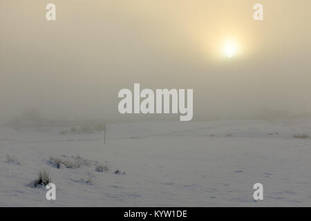 Scena invernale di nebbia di neve e di gelo nelle highlands scozzesi Foto Stock