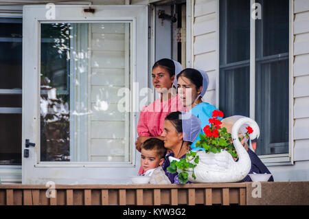 Scena di un'asta in Paese Amish in Pennsylvania, STATI UNITI D'AMERICA Foto Stock