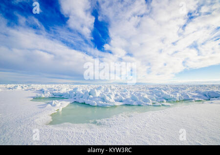 Artico, la Russia, il Mare di Barents Foto Stock