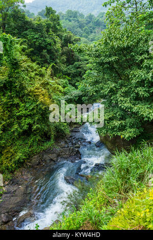 Bellissima vista della foresta cascate, situato in Attappadi, distretto di Palakkad Kerala, nell India meridionale Foto Stock