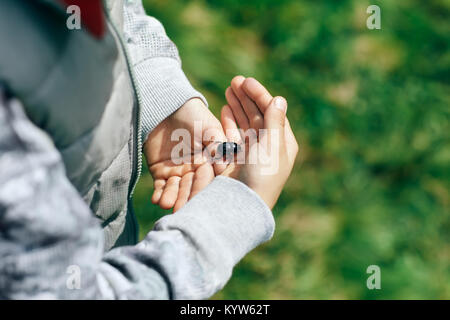 Ragazzo detiene il coleottero catturato nel palmo della sua mano, close-up. Grande nero lucido chafer si insinua lungo il palmo della mano. Baby delicatamente Maybug holding Foto Stock