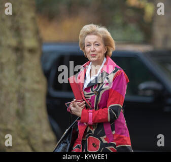 A Downing Street, Londra, Regno Unito. Il 16 gennaio 2018. I ministri del governo di Downing Street per settimanale riunione del gabinetto. Leader della House of Commons Andrea Leadsom arriva. Credito: Malcolm Park/Alamy Live News. Foto Stock